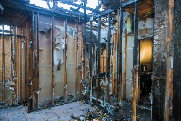 Professional Odor Removal technician working in Woodland Beach, MI